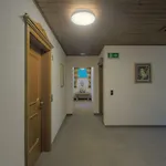 Zum Griena *