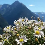 Zum Griena Apartamento *